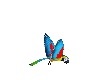 RED PARROT FLYING