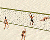 Beach Volleyball 4P