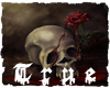 {TRUE} Coffin Skull Rose
