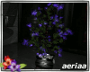 *A* Potted plant tree