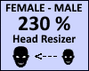 Head Scaler 230%