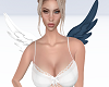 Cupid Wings White Grey
