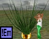 !Em Green Gold Pot Plant