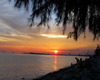 W:Sunsetfotos billboard1