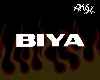 Necklaces Biya