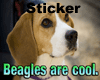 Beagles Are Cool