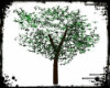 [DS]DERIVABLE TREE #1