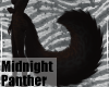 MidnightPanther-TailV6