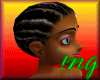 corn rows