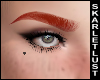 SL Full Brows Fyre