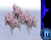 4u Blossom Tree 6