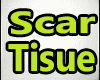 Scar Tissue - RHCP