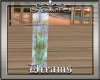 * Tropics * Aquarium