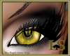 LS~Abigora Eye Yellow