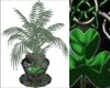 Shamrock Vase n Palm #2