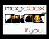 LV**Magic Box- If You