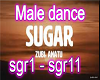 Sugar Zubi+Male Dance