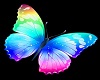 D*butterfly