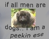 if all men are dogs...