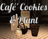 Cafe Cookies & Plant