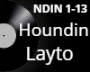 Houndin