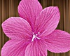 Alaia Hair Flower