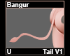Bangur Tail V1