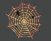 !R! Kissing Spider Web