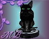 MB Black Kitty Vac