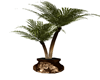Lion potted palm tree
