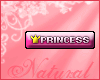 ^N^ Princess VIP Tag