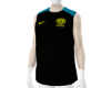 Inter s6
