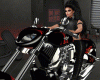 Moto Harley