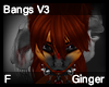 Ginger Bangs V3