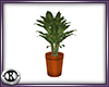 [VIP]Plant 1
