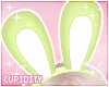 Bunny Ears | Lime