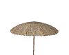 grass beach umbrella