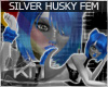 +KM+ Silver Husky FEM