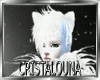 White hair cat