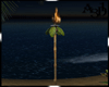 A3D* Torch Beach