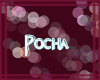 [D] Pocahontas Sticker