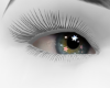 EYES OLHO STAR GREY