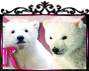 *R* Polar Bears Enhancer