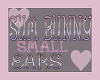 Sum Bunny SM Ears