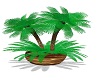 ~CBS~Green Palm Plant