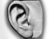 ORELHAS/EARS PERFECT