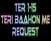 Teri Baahon Me rmx