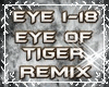 Eye Of Tiger Remix