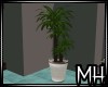 [MH] DI Palm Plant