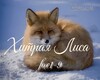 Hitraia Fox